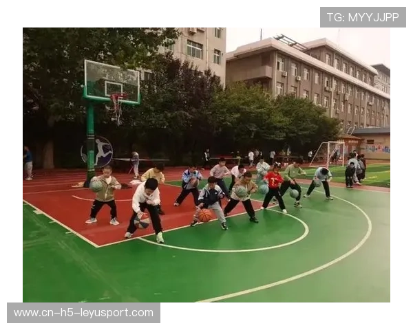 中国篮球文化在中小学阅读课程中的教学引入策略,中国篮球文化的特点 中国篮球文化在中小学阅读课程中的教学引入策略,中国篮球文化的特点