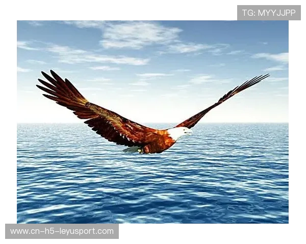 海鹰主帅称团队信任是胜利关键，海鹰hy