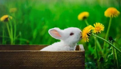 Leyu Sport下载-国家队战术执行缺乏细节把控，国家队战术执行缺乏细节把控怎么办